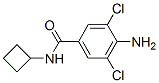 CAS#: 63887-22-9， 4-Amino-N-Cyclobutyl-3,5-Dichlorobenzamide