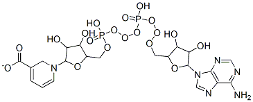 CAS 登录号：6450-77-7， 1-[5-[[[[5-(6-氨基嘌呤-9-基)-3,4-二羟基-四氢呋喃-2-基]甲氧基-羟基-磷酰]氧基-羟基-磷酰]氧基甲基]-3,4-二羟基-四氢呋喃-2-基]吡啶-5-羧酸酯