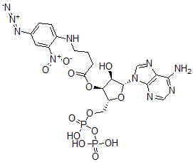 CAS#: 64655-48-7， 3'-O-(4(N-(4-Azido-2-nitrophenyl)amino)butyryl)adenosine 5'-diphosphate