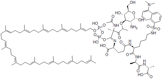 CAS 登录号：65717-73-9， 十一联异戊烯二磷酸酯-N-乙酰基胞壁酸-(5-二甲基氨基萘-1-磺酰基)五肽