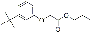CAS#: 66227-09-6， Propyl [3-(1,1-Dimethylethyl)Phenoxy]Acetate