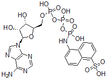 CAS#: 66492-86-2， Adenosine triphosphate-1-aminonaphthalene-5-sulfonic acid