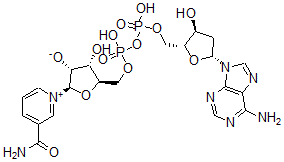CAS#: 6697-37-6， 2'-Deoxynicotinamide Adenine Dinucleotide