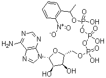 CAS#: 67030-27-7， Adenosine5'-(Tetrahydrogen Triphosphate) P''-[1-(2-Nitrophenyl)Ethyl] Ester