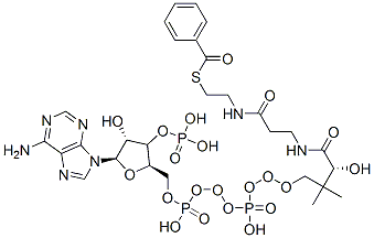 CAS#: 6756-74-7， [(2R,3R,4R,5R)-5-(6-Aminopurin-9-Yl)-2-[[[[3-[2-(2-Benzoylsulfanylethylcarbamoyl)Ethylcarbamoyl]-3-Hydroxy-2,2-Dimethyl-Propoxy]-Hydroxy-Phosphoryl]Oxy-Hydroxy-Phosphoryl]Oxymethyl]-4-Hydroxy-Oxolan-3-Yl]Oxyphosphonic Acid