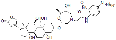 CAS#: 68613-44-5， N-(Ouabain)-N'-(2-nitro-4-azidophenyl)ethylenediamine