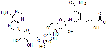 CAS 登录号：68889-85-0， 5-(3-羧基-3-羟基丙基)烟酰胺腺嘌呤二核苷酸