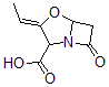 CAS#: 69779-62-0， 9-Deoxyclavulanic Acid