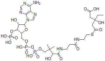 CAS 登录号：69925-08-2， 3-羟基-3-乙基戊二酰-辅酶 A