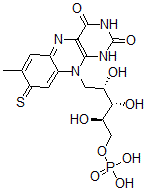 CAS#: 71800-98-1， 8-Mercapto-FMN