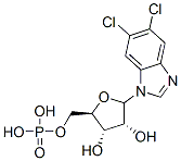 CAS#: 72586-79-9， 5,6-Dichloro-1-Ribofuranosylbenzimidazole 5'-Monophosphate