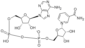 structure of CAS# 7298-93-3, alpha-Diphosphopyridine Nucleotide;[[(2R,3S,4R,5S)-5-(6-Aminopurin-9-Yl)-3,4-Dihydroxy-Tetrahydrofuran-2-Yl]Methoxy-Hydroxy-Phosphoryl] [(2R,3S,4R,5S)-5-(3-Carbamoylpyridin-1-Ium-1-Yl)-3,4-Dihydroxy-Tetrahydrofuran-2-Yl]Methyl Phosphate;[[(2R,3S,4R,5S)-5-(6-Amino-9-Purinyl)-3,4-Dihydroxy-2-Tetrahydrofuranyl]Methoxy-Hydroxyphosphoryl] [(2R,3S,4R,5S)-5-(3-Carbamoyl-1-Pyridin-1-Iumyl)-3,4-Dihydroxy-2-Tetrahydrofuranyl]Methyl Phosphate;[(2R,3S,4R,5S)-5-(3-Aminocarbonylpyridin-1-Ium-1-Yl)-3,4-Dihydroxy-Oxolan-2-Yl]Methyl [[(2R,3S,4R,5S)-5-(6-Aminopurin-9-Yl)-3,4-Dihydroxy-Oxolan-2-Yl]Methoxy-Hydroxy-Phosphoryl] Phosphate