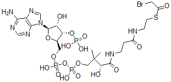 CAS#: 7303-38-0， 2-Bromoacetyl Coenzyme A