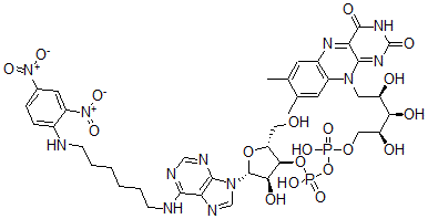 CAS#: 73121-99-0， [[(2S,3R,4R)-5-(7,8-Dimethyl-2,4-Dioxobenzo[g]Pteridin-10-Yl)-2,3,4-Trihydroxypentoxy]-Hydroxyphosphoryl] [(2R,3S,4R,5R)-5-[6-[6-[(2,4-Dinitrophenyl)Amino]Hexylamino]Purin-9-Yl]-4-Hydroxy-2-(Hydroxymethyl)Oxolan-3-Yl] Hydrogen Phosphate