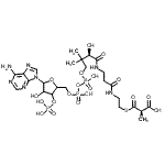 CAS#: 73173-92-9， Coenzyme A,S-[(R)-hydrogen methylpropanedioate]