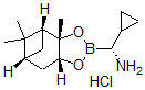 CAS#: 732285-43-7， (alphaR,3aS,4S,6S,7aR)-alpha-cyclopropylhexahydro-3a,5,5-trimethyl-4,6-Methano-1,3,2-benzodioxaborole-2-methanamine hydrochloride (1:1)