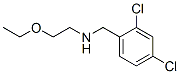 structure of CAS# 73728-64-0, N-[(2,4-Dichlorophenyl)Methyl]-2-Ethoxyethanamine;N-[(2,4-Dichlorophenyl)Methyl]-2-Ethoxy-Ethanamine;(2,4-Dichlorobenzyl)-(2-Ethoxyethyl)Amine;Benzenemethanamine, 2,4-Dichloro-N-(2-Ethoxyethyl)- (9Ci)