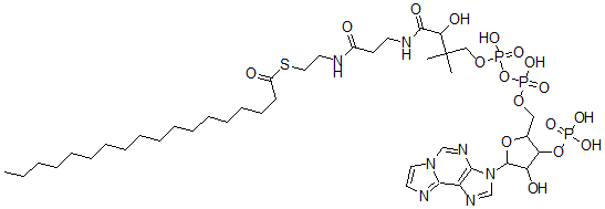 CAS#: 73945-37-6， Stearoyl-(1,N(6))-etheno-coenzyme A