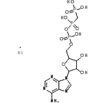 CAS#: 7414-56-4， beta,gamma-Methyleneadenosine 5'-triphosphate disodium salt