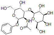 CAS#: 74211-30-6， N-[(2R,3R,4R,5R,6R)-5-Hydroxy-6-(Hydroxymethyl)-2-(Phenoxy)-4-[(2R,3R,4S,5R,6R)-3,4,5-Trihydroxy-6-(Hydroxymethyl)Oxan-2-Yl]Oxyoxan-3-Yl]Acetamide