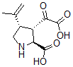 CAS#: 75232-58-5， (2S,3S,4S)-3-Oxalo-4-Prop-1-En-2-Ylpyrrolidine-2-Carboxylic Acid