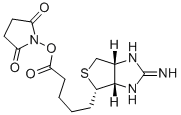CAS 登录号：76939-67-8， 2-亚氨基生物素 N-羟基琥珀酰亚胺酯