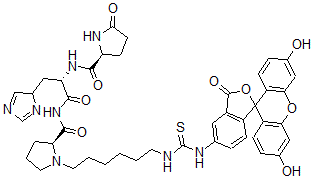 CAS#: 77160-98-6， (2S)-N-[(2S)-1-[[(2S)-1-[6-[(3',6'-Dihydroxy-3-Oxospiro[2-Benzofuran-1,9'-Xanthene]-5-Yl)Carbamothioylamino]Hexyl]Pyrrolidine-2-Carbonyl]Amino]-3-(4H-Imidazol-4-Yl)-1-Oxopropan-2-Yl]-5-Oxopyrrolidine-2-Carboxamide