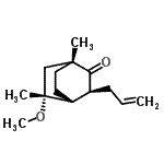 CAS#: 791854-91-6， (1R,3S,4R,5R)-3-Allyl-5-methoxy-1,5-dimethylbicyclo[2.2.2]octan-2-one