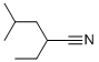 CAS#: 79509-80-1， 2-Ethyl-4-Methylpentanenitrile