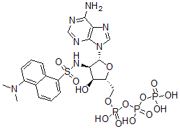 CAS#: 80214-45-5， Dansylamino deoxy-adenosine triphosphate