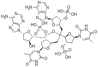 CAS#: 80460-62-4， Deoxy-(Thymidylyl-Adenylyl-Adenylyl-Thymidylic Acid)