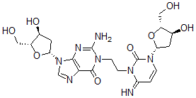 CAS 登录号:83008-59-7, 1-(N(3)-脱氧胞啶基)-2-(N(1)-脱氧鸟苷基)乙烷