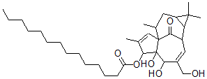 CAS#: 83036-83-3, 3-O-Tetradecanoylingenol