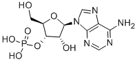CAS 登录号：84-21-9， 3'-腺苷酸