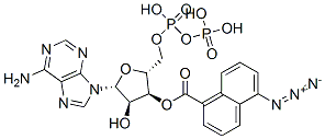 CAS 登录号：84453-67-8， 3'-O-(5-叠氮基萘甲酰)二磷酸腺苷