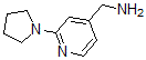 structure of CAS# 876316-38-0, 2-(1-Pyrrolidinyl)-4-Pyridinemethanamine;(2-Pyrrolidin-1-Ylpyrid-4-Yl)Methylamine 97%;(2-(Pyrrolidin-1-Yl)Pyridin-4-Yl)Methanamine;(2-PYRROLIDIN-1-YLPYRID-4-YL)METHYLAMINE