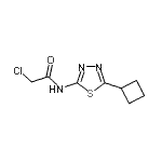 structure of CAS# 878668-04-3, 2-Chloro-N-(5-cyclobutyl-1,3,4-thiadiazol-2-yl)acetamide;2-chloro-N-(4-phenyl-1,3-thiazol-2-yl)acetamide;2-Chloro-N-(5-cyclobutyl-[1,3,4]thiadiazol-2-yl)-acetamide;2-chloro-N-(5-cyclobutyl-1,3,4-thiadiazol-2-yl)acetamide