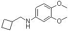 结构式 CAS# 887588-17-2, N-(环丁基甲基)-3,4-二甲氧基苯胺