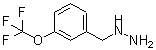 structure of CAS# 887595-84-8, [3-(Trifluoromethoxy)benzyl]hydrazine;3-Trifluoromethoxybenzylhydrazine;HYDRAZINE,[[3-(TRIFLUOROMETHOXY)PHENYL]METHYL]-;Trifluoromethoxybenzylhydrazine