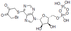 CAS 登录号:90269-32-2, 6-((4-溴-2,3-二氧代丁基)硫代)-6-去氨基腺苷 5'-二磷酸酯