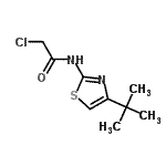 structure of CAS# 908509-16-0, 2-Chloro-N-[4-(2-methyl-2-propanyl)-1,3-thiazol-2-yl]acetamide;N-[4-(tert-butyl)(1,3-thiazol-2-yl)]-2-chloroacetamide;MFCD01924804