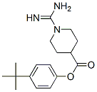 CAS 登录号：91283-32-8， 4-(1,1-二甲基乙基)苯基 1-(氨基亚氨基甲基)-4-哌啶甲酸酯