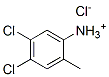 CAS#: 93839-01-1， 4,5-Dichloro-2-Methylanilinium Chloride