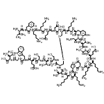 CAS#: 96182-95-5， N-({(3S,6S,9S,12R,17R,20S,23S,26S,29S,32S,35S,38S,41S,44S,49aS)-3,6,20,38,41-Pentakis(4-aminobutyl)-26-[(2S)-2-butanyl]-35-(2-carboxyethyl)-44-(carboxymethyl)-23-(4-hydroxybenzyl)-9-[(1R)-1-hydroxyeth yl]-17-[(L-isoleucyl-L-phenylalanyl-L-lysyl-L-lysyl-L-alpha-glutamyl-L-alpha-aspartyl)amino]-29,32-diisopropyl-1,4,7,10,18,21,24,27,30,33,36,39,42,45-tetradecaoxohexatetracontahydro-1H-pyrrolo[2,1-p][ 1,2,5,8,11,14,17,20,23,26,29,32,35,38,41,44]dithiatetradecaazacycloheptatetracontin-12-yl}carbonyl)-L-seryl-L-valyl-L-seryl-L-alpha-glutamyl-L-tryptophylglycyl-L-isoleucine