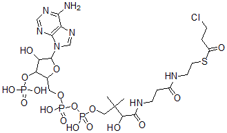 CAS#: 96212-36-1， 3-Chloropropionyl-Coenzyme A