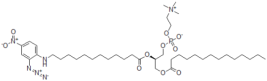 CAS#: 96912-01-5， 1-Myristoyl-2-[12-(2-azido-4-nitroanilino)dodecanoyl]-Phosphatidylcholine