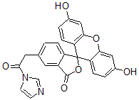 CAS#: 97068-28-5, Fluorescein N-Acetylimidazole