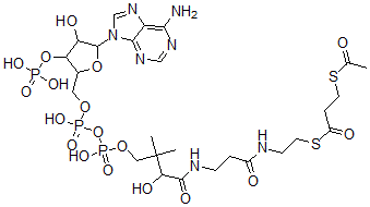CAS 登录号：97919-43-2， S-乙酰基-3-巯基丙酰基辅酶 A