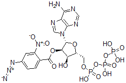 CAS#: 99308-34-6， 3'(2')-O-(2-Nitro-4-Azidobenzoyl)Adenosine 5'-Triphosphate