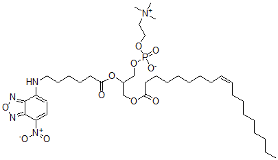 CAS#: 99566-32-2， 1-Oleoyl-2-(7-(4-Nitrobenzo-2-Oxa-1,3-Diazole))-6-Aminocaproylphosphatidylcholine